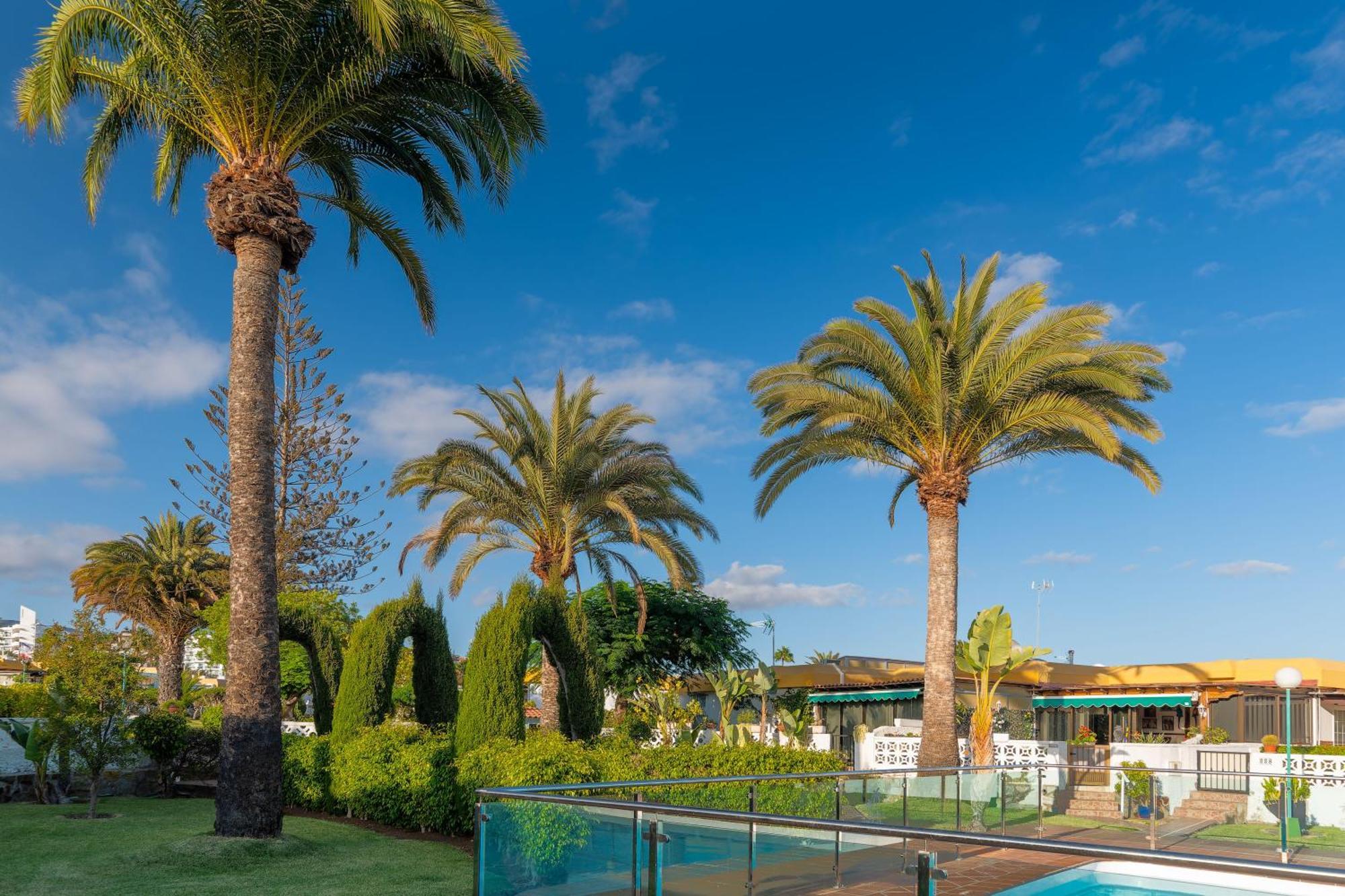 Bungalow Siena Center Playa Del Ingles Maspalomas  Esterno foto